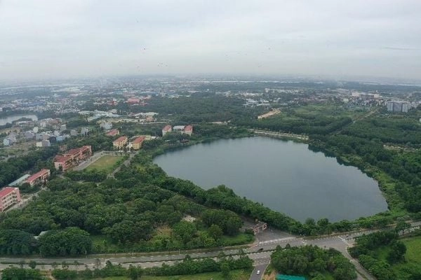 2.-anh-2_8b84b25ff9b7401a9bbd853842045fb7_grande